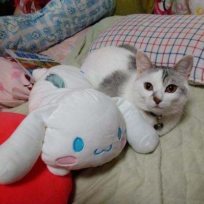 にしくぼ