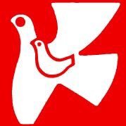 国連NGO 新日本婦人の会