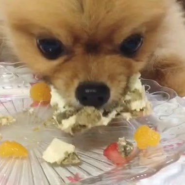 ちゃ