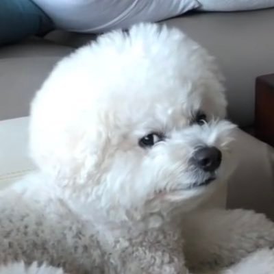 ななさん