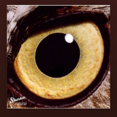 みたかれらななよん