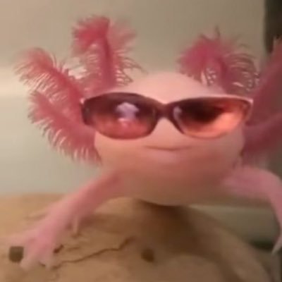 no
