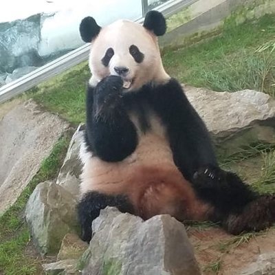 PANORCA（ぱのるか）