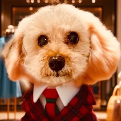 のん🐬🐬🐬🐢🧢📦