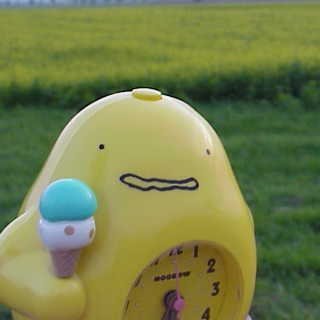 NoobowSystems 𝕏