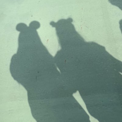 ののののー🐢🐧💖🐰
