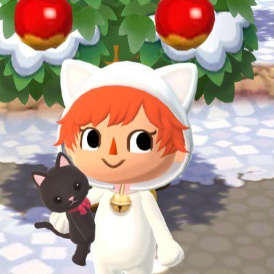 白玉猫 〜shiratamaneko〜