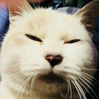 ジョン酢〆死ぬまで勉強中