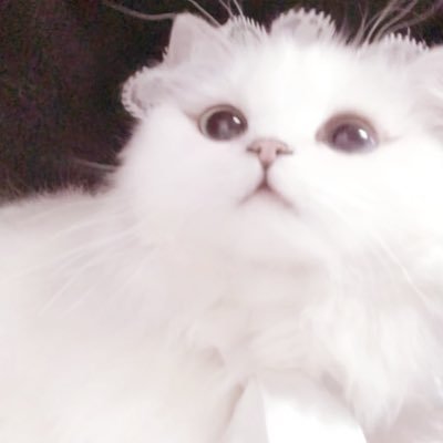 ﾃﾞｶ男ﾊﾝﾀｰ