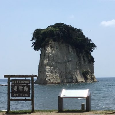 おかゆ🐨
