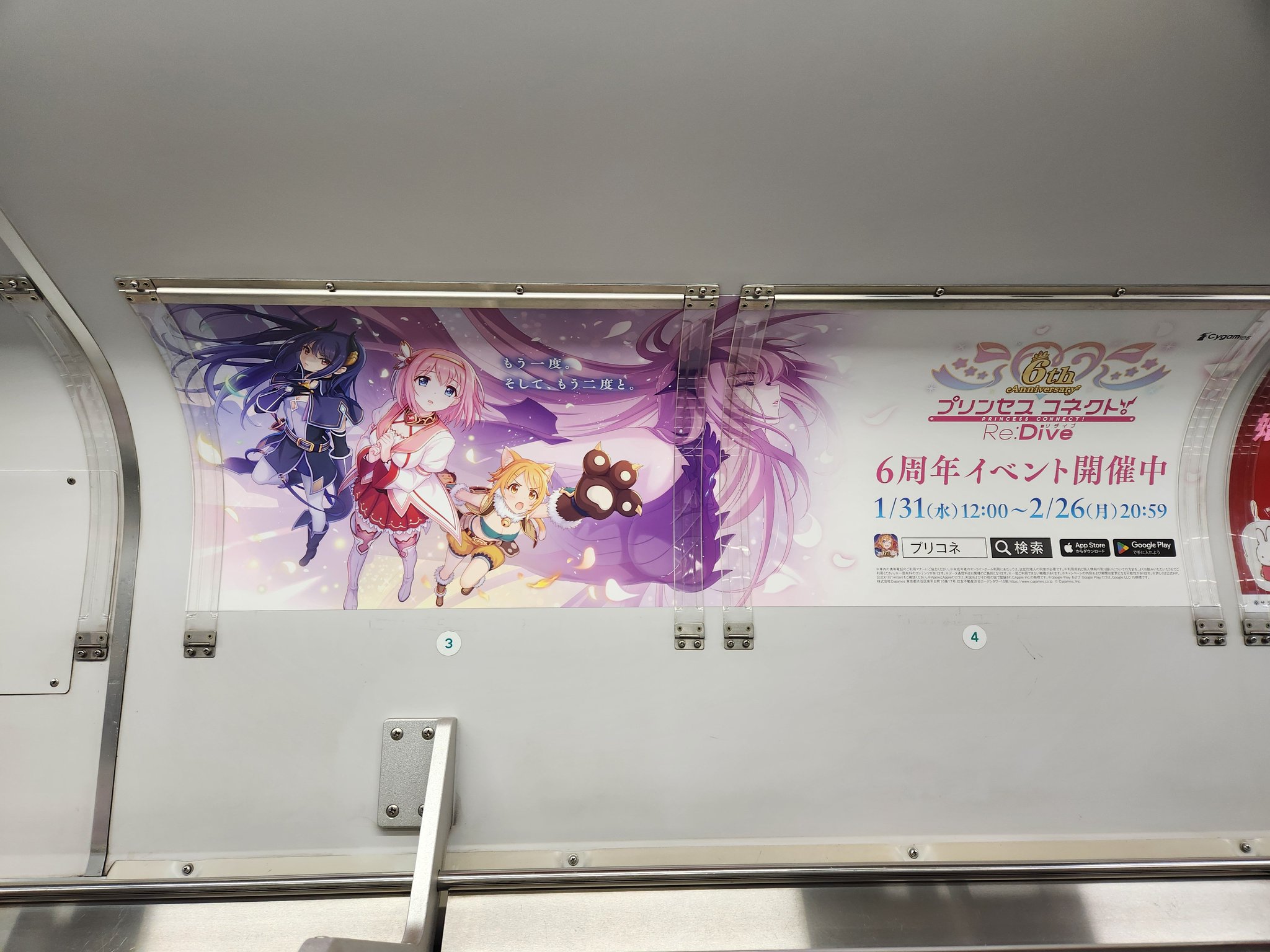 ネコサンスキー