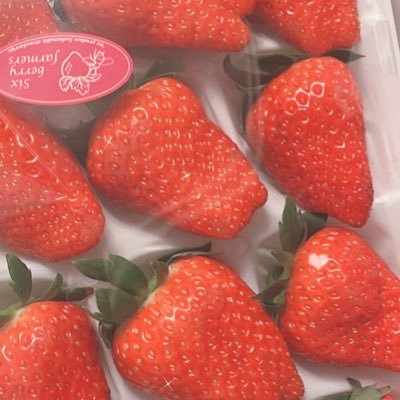 なす@ツイフィ必読