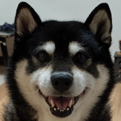 おっきゅー（と黒柴てつ）