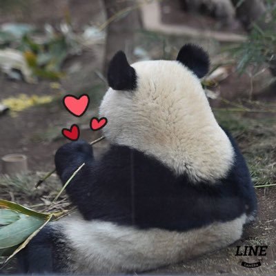 ㅈㅇ🐼