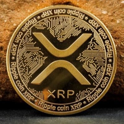 Mr.XRP (全財産XRP)