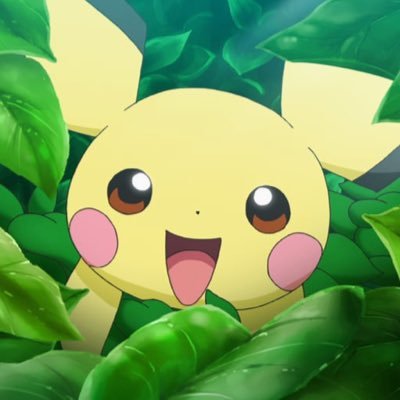 ⭐︎