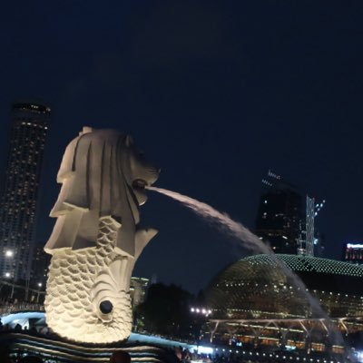 シーサー_お取引用