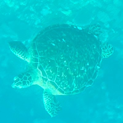 よる⛄️🌹❤️