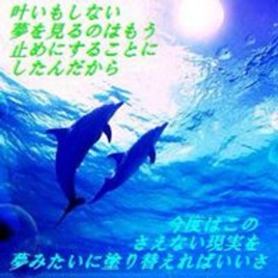 やなぎ@Ado よだか 11/23