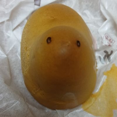 DDALGI