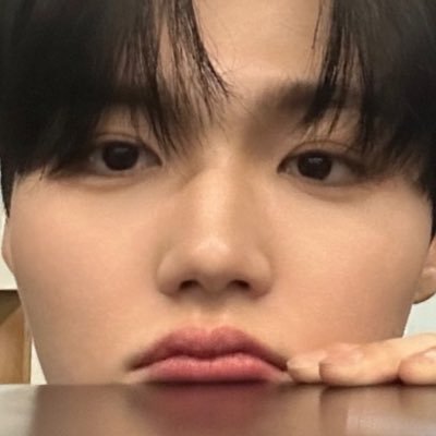 ふにまるとんとん🐾