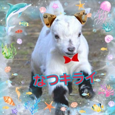 ペーター🐐🐐🐐