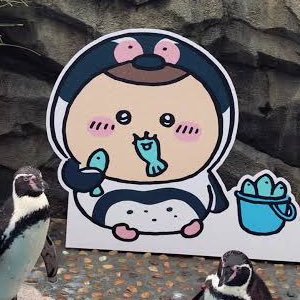 ぺんぎんのたまちき🐧