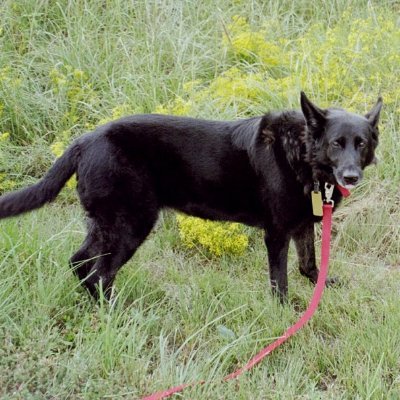 Emi Y (ヒラヒラガメラ)＠圧壊深度より少しだけ上