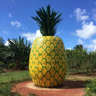 ﾀﾞｸﾏﾀﾞｲﾊﾞｰ