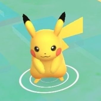 pkmZZZ（GOロケット団の処刑人）