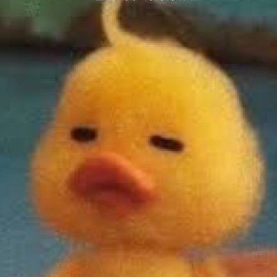 にくまん•‿•