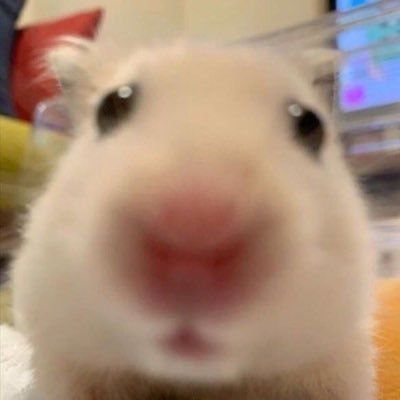 ﾁｬ𝐤𝐢𝐥𝐥