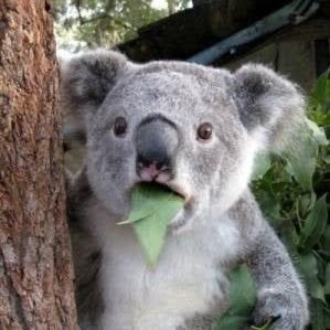 ペカり@弱いお店で勝つジャグラー