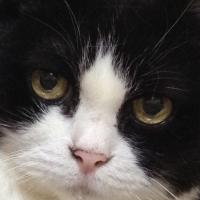 qilin🦒ボドゲ会2/21,3/14,28,4/11