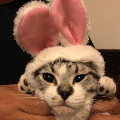 米国株採集@ときどき優待株