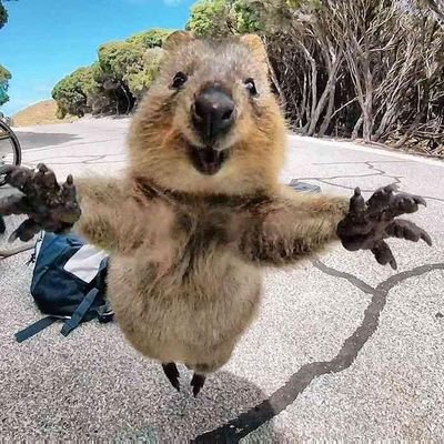 ちっちゃいもの倶楽部