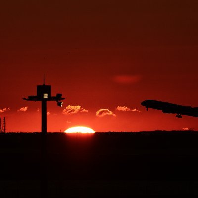 セナ・ルフェーブル