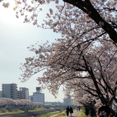 写真集ランキング