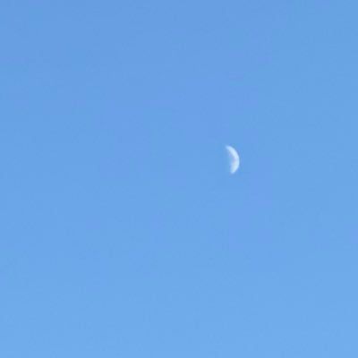 じる/本垢提示可