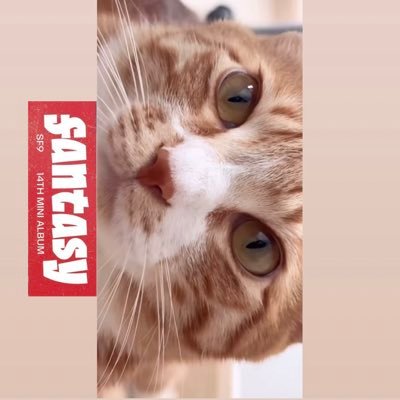 ❄️れあらreara❄️