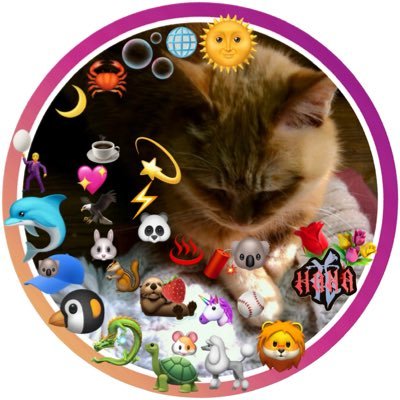 🐬🌴きょうこ②戻って参りました🌴🐬🐧🩷🧢🐉💛