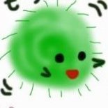 りるる〜ん🦢🐹🐱🦊🐰🐶🐯🐻🐿🦥🍯