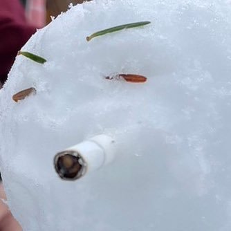 ねりもの
