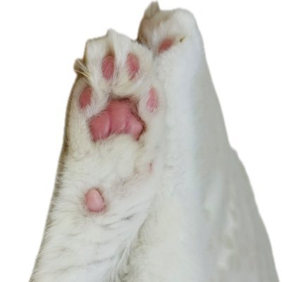 りん