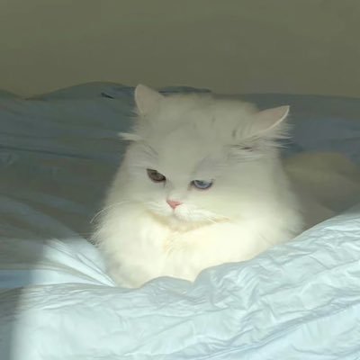 わかめふりかけ