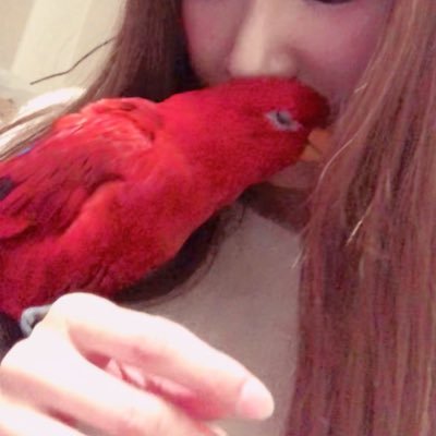 みほʕ •́؈•̀ ₎