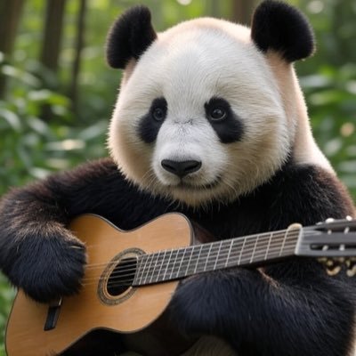 ポポ　CDJ28.29.31