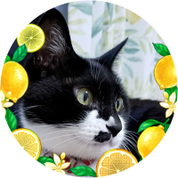 ruru0603(ΦωΦ)@東大阪民 @ruru0603