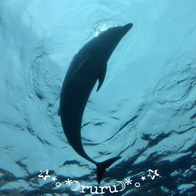 ★るる★🌙💚🩵🧡