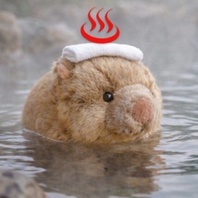 りゃま♨️